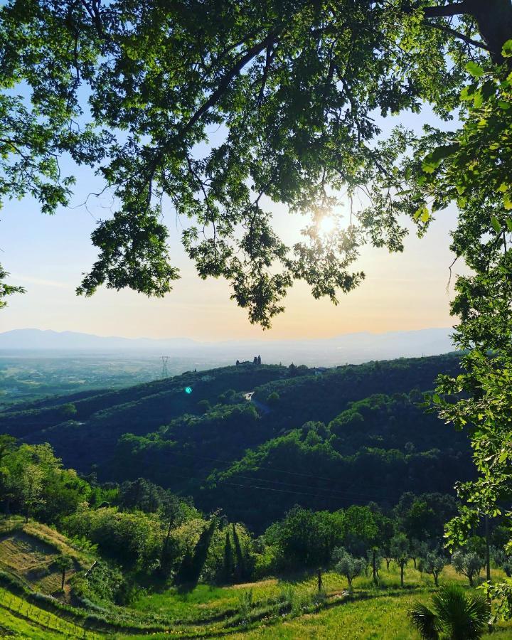 Villa Del Parco In Tuscany San Baronto Exterior photo